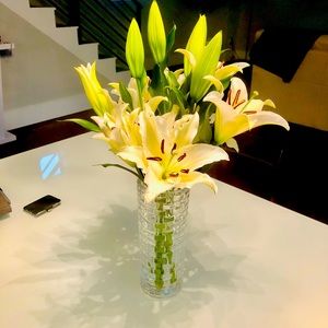 Listing for new friend in Seattle ❤️